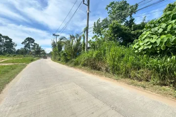 Land for sale in Mae Nam, Surat Thani