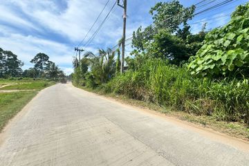 Land for sale in Mae Nam, Surat Thani