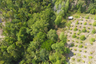 Land for sale in Ban Tai, Surat Thani
