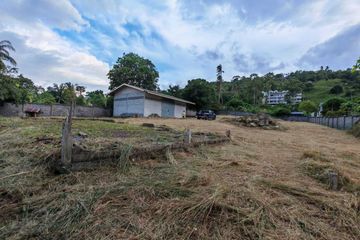 Land for sale in Mae Nam, Surat Thani