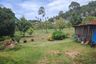 Land for sale in Mae Nam, Surat Thani