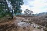 Land for sale in Taling Ngam, Surat Thani