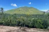 Land for sale in Taling Ngam, Surat Thani