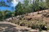 Land for sale in Taling Ngam, Surat Thani