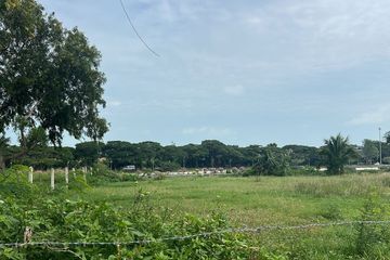 Land for sale in Mae Nam, Surat Thani