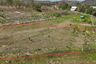 Land for sale in Huai Sai, Chiang Mai