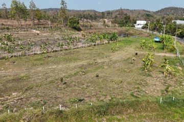 Land for sale in Huai Sai, Chiang Mai