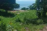 Land for sale in Ko Pha-ngan, Surat Thani