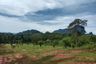 Land for sale in Nong Thale, Krabi
