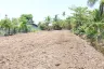 Land for sale in Bang Yo, Samut Prakan