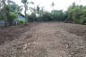 Land for sale in Bang Yo, Samut Prakan