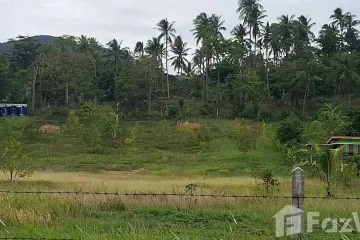 Land for sale in Mae Nam, Surat Thani