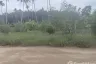 Land for sale in Mae Nam, Surat Thani