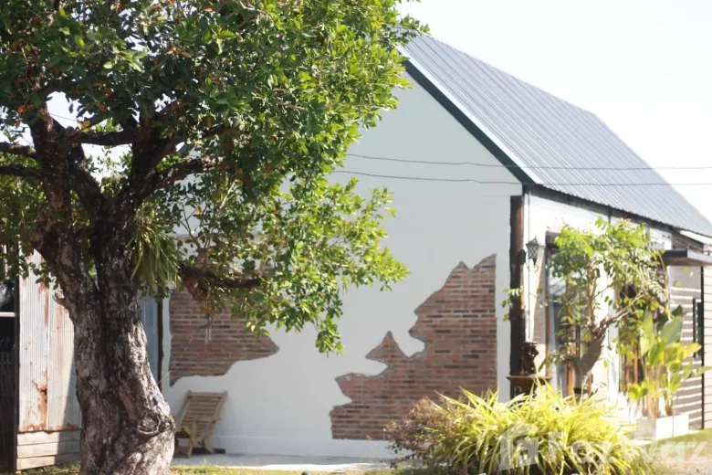 1 Bedroom House For Rent