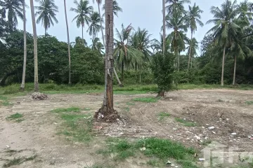 Land for sale in Mae Nam, Surat Thani