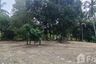 Land for sale in Mae Nam, Surat Thani