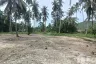 Land for sale in Mae Nam, Surat Thani