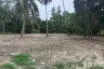 Land for sale in Mae Nam, Surat Thani