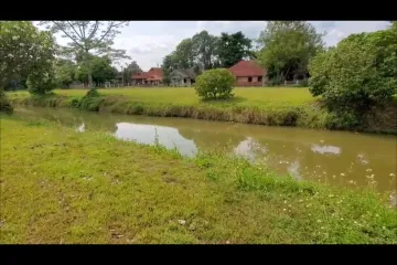 Land for sale in Wiang Doi Village, Choeng Doi, Chiang Mai