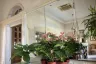 4 Bedroom House for Sale or Rent in Lakewood Village, Bang Chalong, Samut Prakan