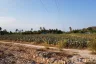 Land for sale in Wang Phong, Prachuap Khiri Khan