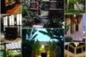 5 Bedroom House for sale in Windmill Park, Bang Phli Yai, Samut Prakan