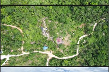 Land for sale in Lipa Noi, Surat Thani