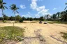 Land for sale in Mae Nam, Surat Thani