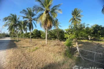 Land for sale in Sam Roi Yot, Prachuap Khiri Khan