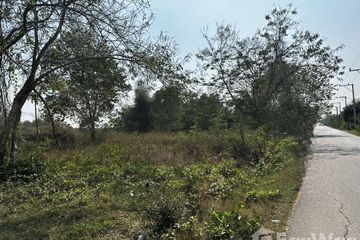 Land for sale in Wang Phong, Prachuap Khiri Khan