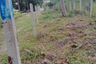 Land for sale in Na Mueang, Surat Thani