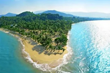 Land for sale in 