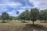 Land for sale in Mae Nam, Surat Thani
