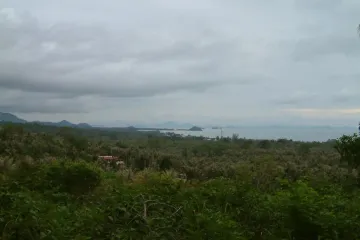 Land for sale in Ang Thong, Surat Thani