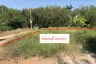 Land for sale in Khlong Hok, Pathum Thani