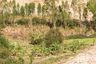 Land for sale in Phlu Ta Luang, Chonburi