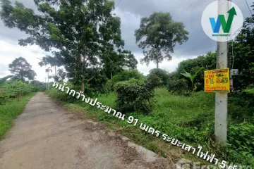 Land for sale in Sila Dan, Chainat