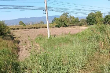 Land for sale in Noen Maprang, Phitsanulok