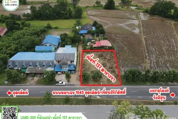 Land for sale in Nam Rit, Uttaradit
