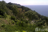 Land for sale in Karon, Phuket