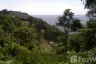 Land for sale in Karon, Phuket
