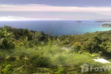 Land for sale in Karon, Phuket