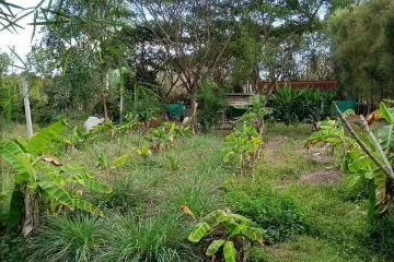 Land for sale in Phra Bat, Lampang