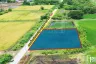 Land for sale in Khlong Yong, Nakhon Pathom