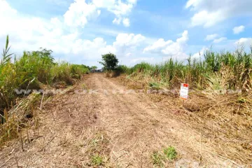 Land for sale in Na Mai, Pathum Thani