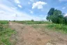 Land for sale in Na Mai, Pathum Thani