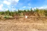 Land for sale in Na Mai, Pathum Thani