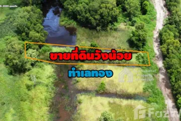 Land for sale in Lam Ta Sao, Phra Nakhon Si Ayutthaya