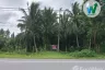 Land for sale in Tanot Duan, Phatthalung