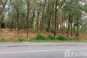 Land for sale in Mai Khao, Phuket